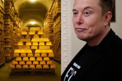 Elon Musk Proposes Livestreaming Fort Knox So Americans Can See Their 147.3 Million Troy Ounces of Gold