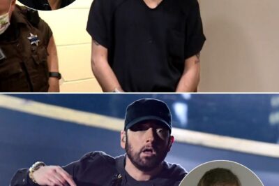 Intruder Told Eminem He Was “There to Kill Him,” Says Police Officer