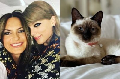 Mariska Hargitay Names Her Cat After A Taylor Swift Song And It’s Purr-fect