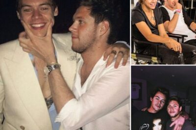 From X Factor to Forever: The Enduring Bond of Harry Styles & Niall Horan