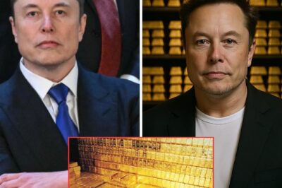 Elon Musk Calls for Transparency: The $68,000,000,000,000,000,000 Question About Fort Knox’s Gold Reserves