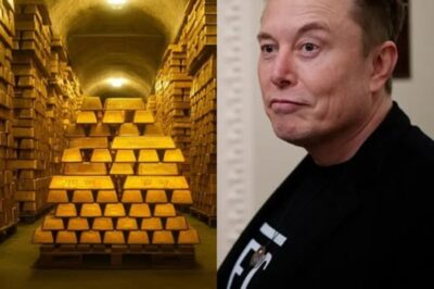 Elon Musk Proposes Livestreaming Fort Knox So Americans Can See Their 147.3 Million Troy Ounces of Gold