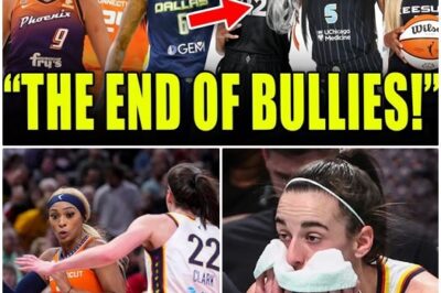 Caitlin Clark Bullies FURIOUS As Indiana Fever SIGN ENFORCERS To Protect Her!