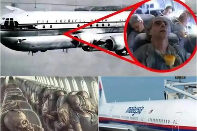 Flight MH370 was found after 17 years of disappearance and was still full of passengers, but only dry bones remained.