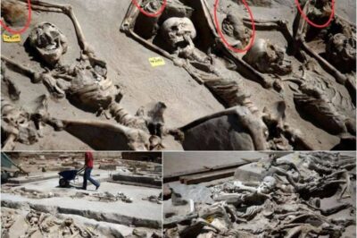 In an ancient Greek cemetery, archaeologists have discovered a mass grave containing eighty skeletons that were bound together by iron chains. The discovery is quite chilling