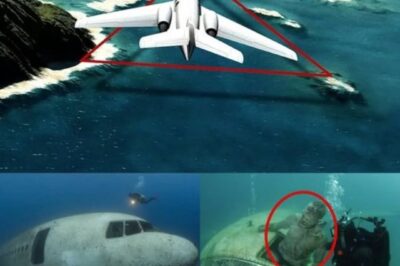 Researchers Locate U.S. Navy Flight 19 After 75 Years in the Bermuda Triangle