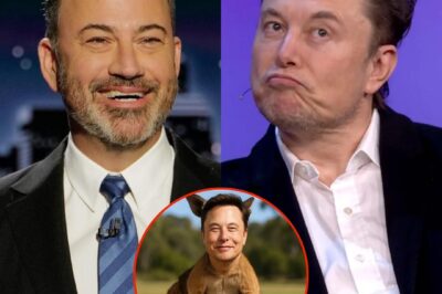 Jimmy Kimmel Mocks Elon Musk as a “Kangaroo Dad,” Says He Might Be Carrying Babies in His Pouch