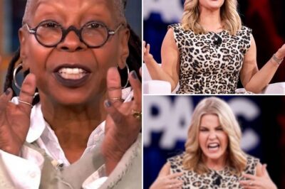 Mic drop moment—Karoline Leavitt hilariously roasts