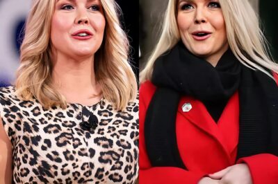 CONTROVERSY EXPLOSION: Karoline Leavitt exposes the “SHOCKING TRUTH” behind a series of fake news stories from the media—The response that sent the press WORLD TURN!