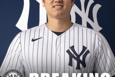 High-Stakes Pursuit: Yankees GM reveals jaw-dropping $750 Million Deal to lure Shohei Ohtani away from Dodgers in blockbuster baseball drama….