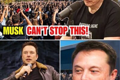 Top 5 STATES Collapsing Fast as Elon Musk’s Empire Crashes – Tesla & Twitter X Employees Panic