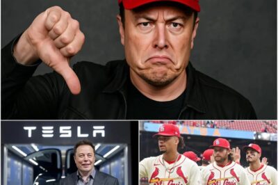 BOMBSHELL NEWS: Outrageous  “Cowards are anti-American!” – Elon Musk BURSTS St. Louis Cardinals in SHOCKING Tesla boycott post