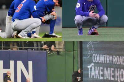 Deadspin | Fan falls 21 feet onto warning track during Cubs-Pirates game