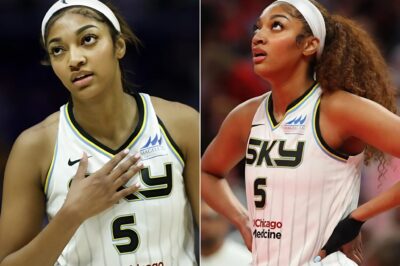 BREAKING: The WNBA has issued a public APOLOGY to Angel Reese for NOT finding evidence of fan rac!sm against her and the Chicago Sky.
