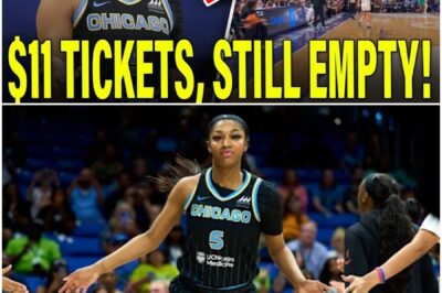 Breaking News: Angel Reese HUMBLED By EMPTY LSU Gym Despite DIRT CHEAP Tickets For Chicago Sky Preseason Game