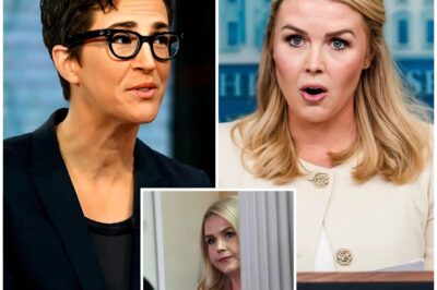 VIDEO: Maddow CRACKS UP After Karoline Leavitt Reveals SECRET RECORDING, SO…
