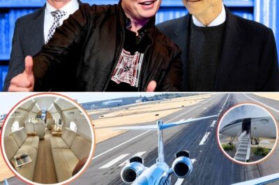 Looking’ at the $65 million plane of the world’s top billionaires Elon Musk and Bill Gates and Jeff Bezos: Near supersonic speed, private luxury cabin, Gulfstream G650ER is one of the fastest and longest-range commercial aircraft in the world
