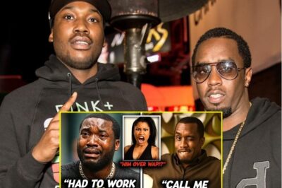 Meek Mill EXPOSES What Diddy Paid Him For… ($100K Per Visit?!)