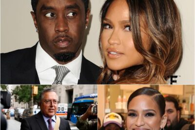Diddy’s Lawyer Accuses Cassie Of Violence During Their Relationship