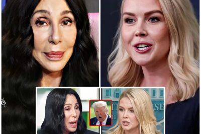 VIDEO: Cher ERUPTS On Donald Trump As Karoline Leavitt’s Lies Got EXPOSED! So…
