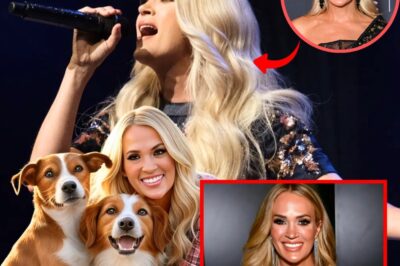 Carrie Underwood ignites the web with a shocking announcement: he will invest 20 million dollars to build a ‘paradise’ dedicated to rescuing stray dogs, promising love and a home to thousands of abandoned puppies.