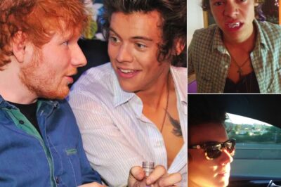 Ed Sheeran Sends Fans Wild With Hidden Harry Styles Pics From His Camera Roll