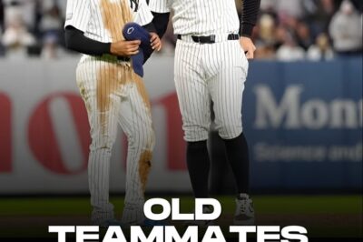 Juan Soto Set to Reunite with Aaron Judge After Latest Announcement