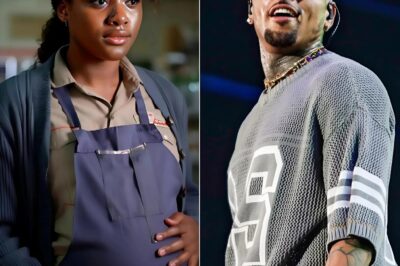 Chris Brown noticed a pregnant woman working hard at a gas station, looking exhausted, but what shocked everyone the most was her sudden behavior right after.