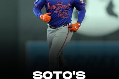 MLB Analyst Drops Painful Juan Soto Warning for Yankees Fans Ahead of Highly Anticipated Subway Series