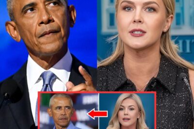 “UNCOMFORTABLE: Young female politician Karoline Leavitt ‘shuts up’ former President on live television – The whole of America is sh0cked by this blunt and unapologetic response!”