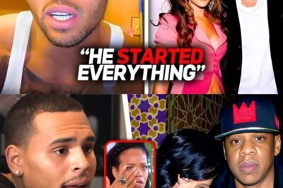 Chris Brown Reveals Shocking Truth: How Did Jay Z Treat Rihanna When She Was Only 15 Years Old (VIDEO)