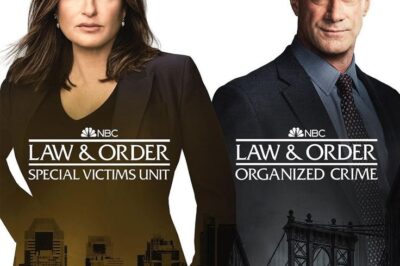 Law & Order: SVU Season 26 Finale Explained: Shocking Case Wraps Up with Major Character Promotion