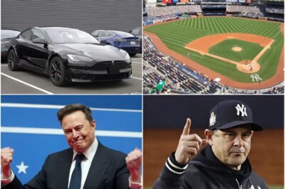 HOLY SHIT: New York Yankees Reject Elon Musk’s Tesla Ad at Yankees Stadium! Aaron Boone Give Elon Musk a Very Good Reason for Rejection…
