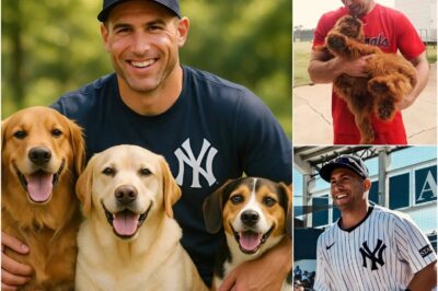 A Heartfelt Act Goes Viral: Paul Goldschmidt Announces He Will Do Something for Stray Dogs Across the Country That Will Shock Everyone