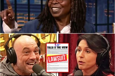Joe Rogan MOCKS The View Hosts After Tulsi Gabbard SUES THEM For $50M.