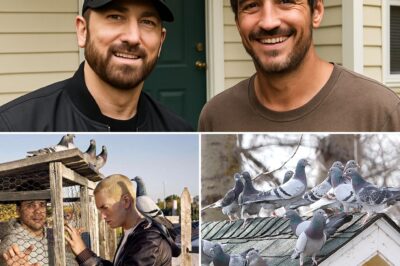 The peaceful city of Detroit has long been adorned by the sight of flocks of pigeons gracefully soaring through the sky, adding charm to its landscape. For years, locals have known that these birds find refuge here thanks to the quiet efforts of a homeless man. Taking on any odd job he could find and sleeping under store awnings at night, he scrimped and saved every penny solely to build sturdy nests so the pigeons would always have a place to return to. Eminem, a son of Detroit, took notice of this kind-hearted, unsung man and decided to give him an incredible surprise: a house in Detroit, so that he too could have a place to call home—just like the pigeons. What Eminem had prepared inside the house moved the homeless man to tears. It wasn’t luxurious furnishings that touched him, but rather…