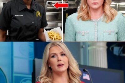 Waitress Fired for Helping a Stranger—Next Day, Karoline Leavitt Life Forever!