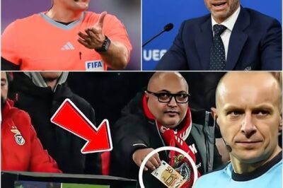 SHOCKING NEWS!: UEFA uncovers evidence against Marciniak for “selling” the Barça vs Inter match!