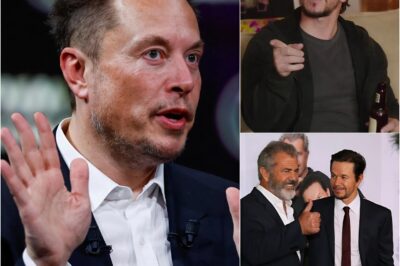 5 MINUTES AGO! Mel Gibson and Mark Wahlberg SHOCK THE WORLD by bluntly rejecting Tesla’s Elon Musk-sponsored advertisement for their ‘Un-Woke’ Studio, providing a reason so compelling it left Elon Musk speechless and sent shockwaves through global media…