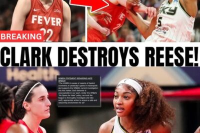 WNBA RELEASED STATEMENT CONFIRMING INVESTIGATION INTO FEVER VS SKY GAME FOR RACIAL ATTACKS!
