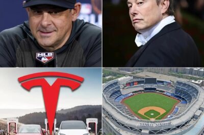 HOLY SHIT: Elon Musk angrily announced that he would buy the Yankees and fire head coach Aaron Boone, after the coach said: “Get rid of Tesla, the Yankees will never advertise for Elon Musk…”