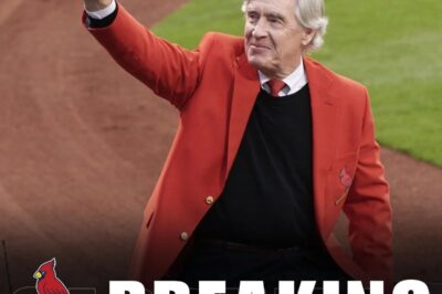 BREAKING: St. Louis Cardinals Legend Ted Simmons Elected to Hall of Fame at 75. Ted Simmons Heartfelt Comment Moves Fans to Tears….