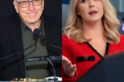 Robert De Niro Claims: Karoline Leavitt Is Not Qualified to Be a Role Model for Women