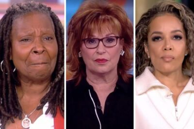 ‘The View’ Hosts In Hot Water After ABC Gives Them This Warning
