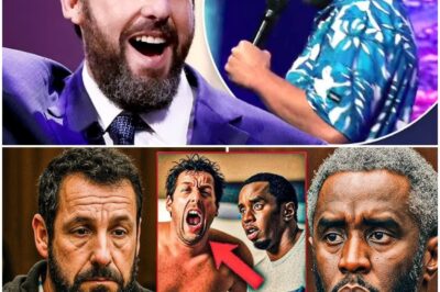 C0URTROOM SH0CKER: Adam Sandler’s Explosive Testimony on Day 14 ROCKS Diddy’s Trial—What Did He Reveal That Could Change EVERYTHING? Hollywood Stunned, Fans in Disbelief!