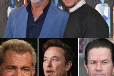 Mel Gibson And Mark Wahlberg Partner With Elon Musk And Invest Between $1 Billion And $3 Billion In A “non-woke” Film Studio Committed To Traditional Family Values