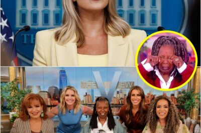 on Tuesday night, that’s exactly what happened—thanks to Karoline Leavitt, the White House press secretary who turned a routine segment into a viral cultural flashpoint.