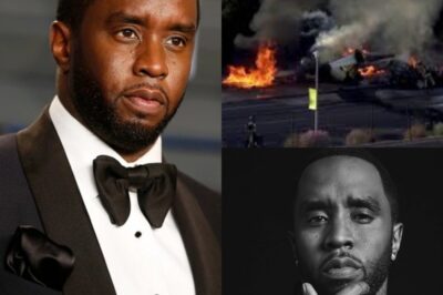 SAD NEWS: A huge explosion occurred in the suburbs of California, after the police investigation discovered it was a plane crash, what was more horrifying was when the rescue team arrived at the scene, they discovered the v!ctim was an American music tycoon…