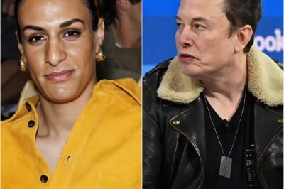 Hot News: Elon Musk Decides To Withdraw Support For WBO Programs Unless Imane Khelif’s Medal And $25 Million Bonus Are Revoked