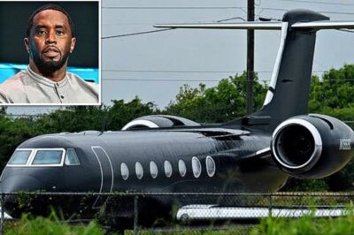 Diddy made over $4million from renting his private jet while behind bars